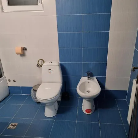 Trei Brazi Cu Ciubar Si Loc De Joaca Exterior * Gura Humorului