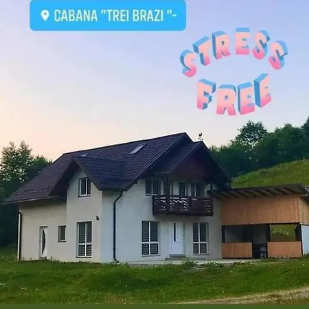 Holiday home Trei Brazi Cu Ciubar Si Loc De Joaca Exterior *